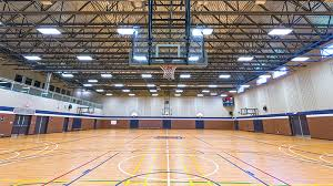 Salle de sport avec panier de basket, filet de volleyball et marquages au sol.