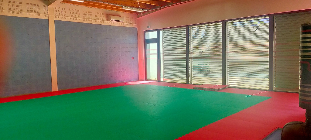 Salle avec tapis vert, murs gris, fenêtres et porte.