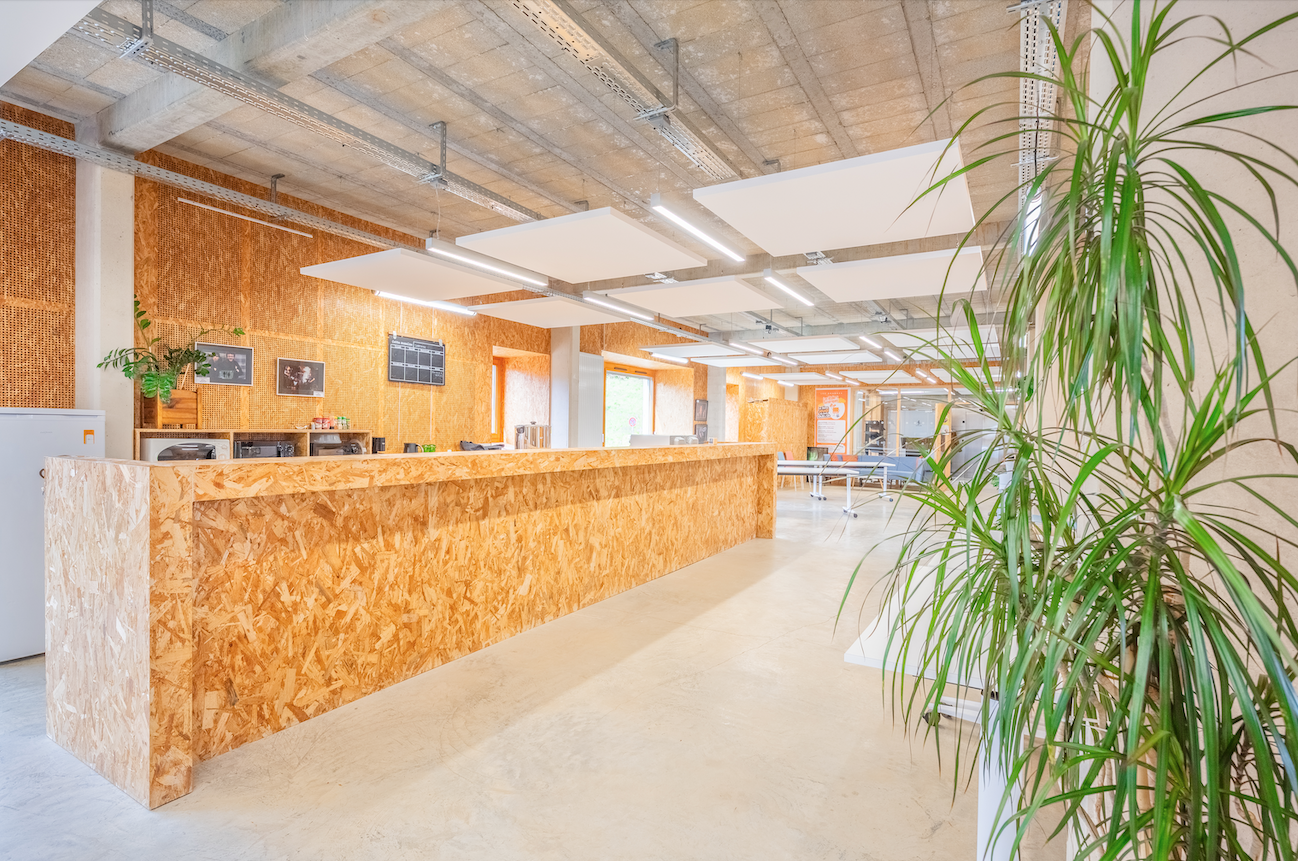 Bureau spacieux avec comptoir en bois, plantes, tables, chaises et éclairage suspendu.