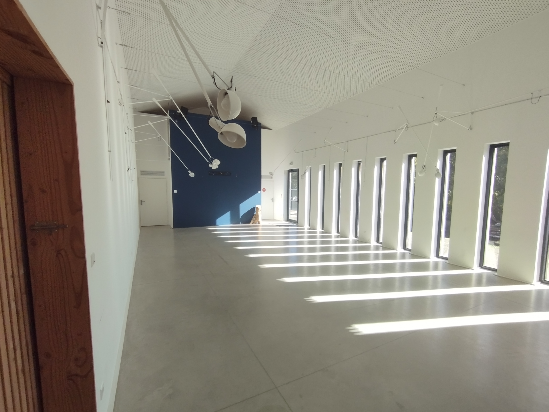 Salle vide avec portes, fenêtres, plafond suspendu et éclairage.