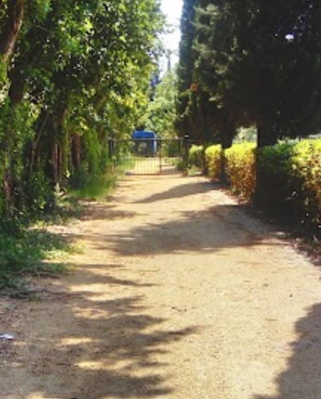 Allée gravillonnée bordée d'arbres et de haies avec banc au loin.