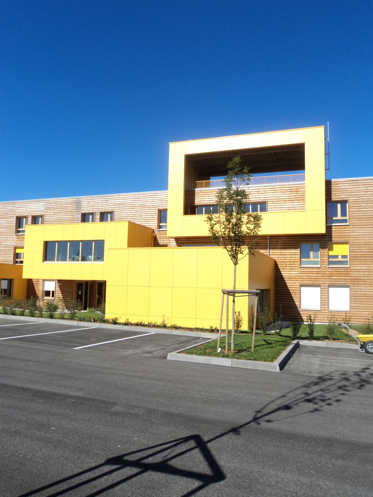Immeuble jaune avec arbre, parking et vélo.