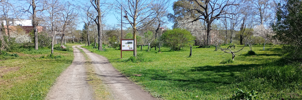 Chemin de terre avec herbe, arbres, ciel bleu et panneau.