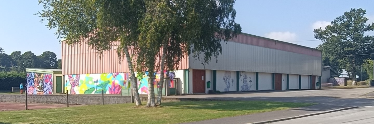 Bâtiment avec graffitis, portes de garage, arbre et pelouse.