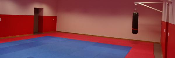 Salle de sport avec tapis, sac de boxe.