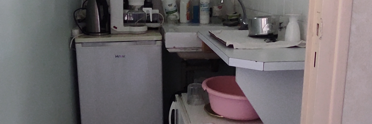 Cuisine avec évier, machine à laver, meubles de rangement, plaque de cuisson, micro-ondes et bouilloire.