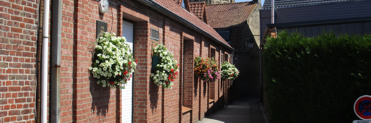 Allée avec bâtiments en brique, fleurs suspendues, égout et clôture.