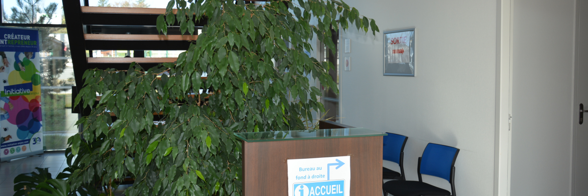 Bureau d'accueil avec plantes, distributeur de gel hydroalcoolique, chaises et panneau d'accueil.