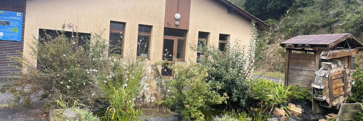 "Bâtiment avec grandes fenêtres, plantes, abri en bois avec bois empilé."