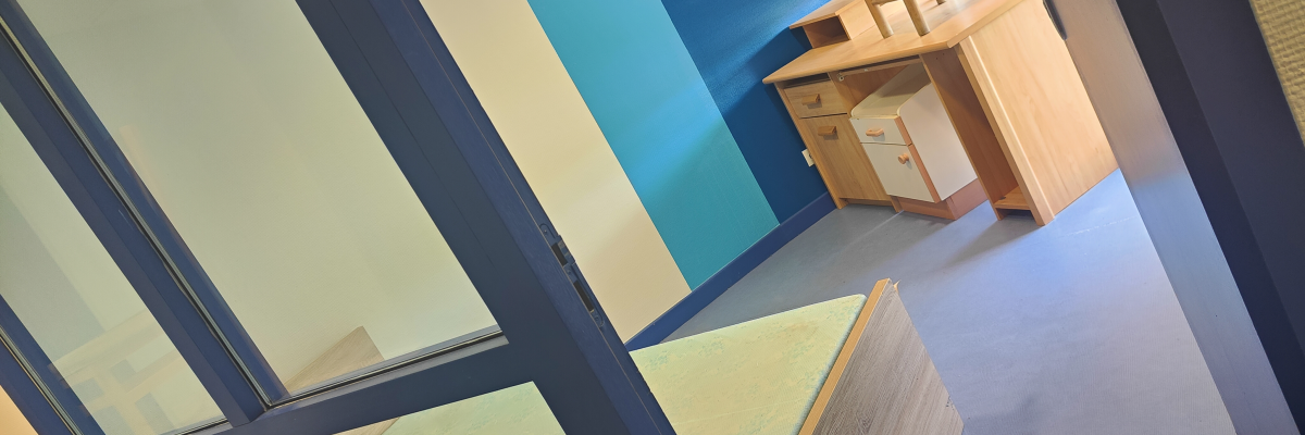 Bureaux, armoires, et fenêtres dans un espace de travail ouvert avec des murs bleus et verts.