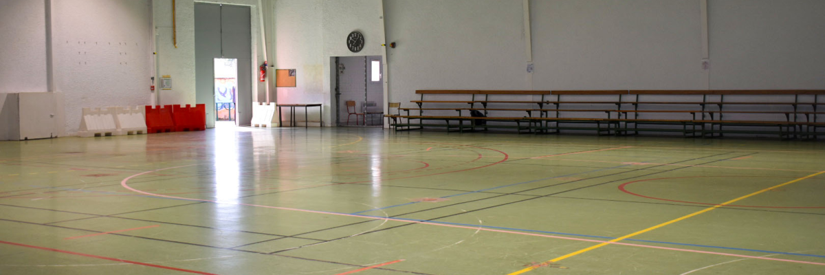 Gymnase avec panier de basket, sol vert, gradins et portes métalliques.