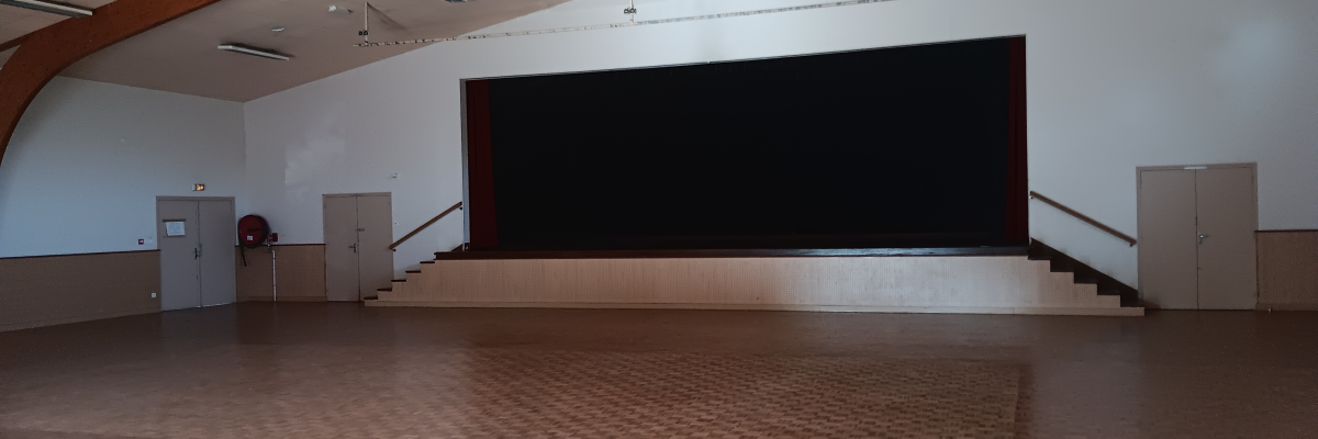 Grande salle avec plancher en bois, écran, escaliers et portes. Lumière naturelle provenant des fenêtres.