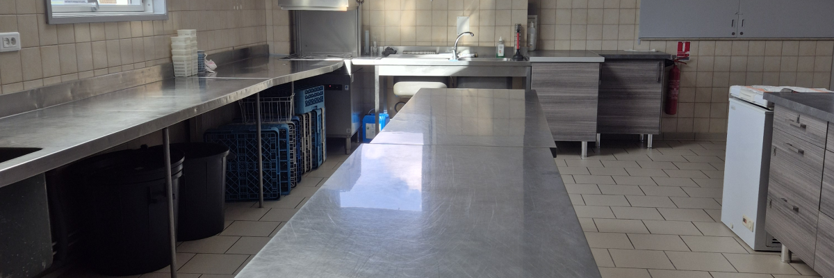 Cuisine avec plans de travail, éviers, placards, et lumières naturelles.