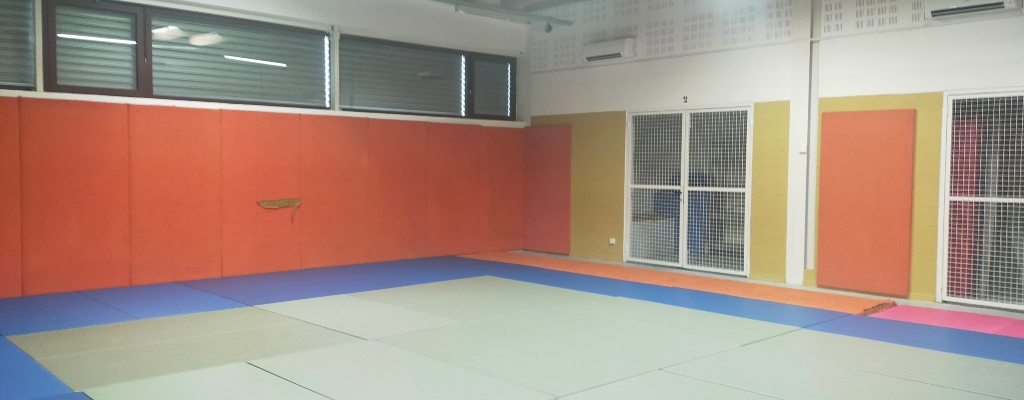 Salle avec tapis, murs rembourrés, fenêtres et climatisation.