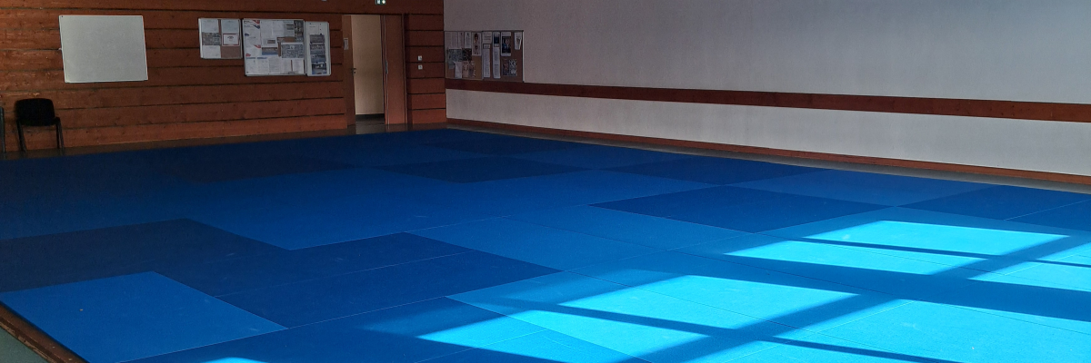 Salle avec parquet bleu, lignes blanches et murs en bois.