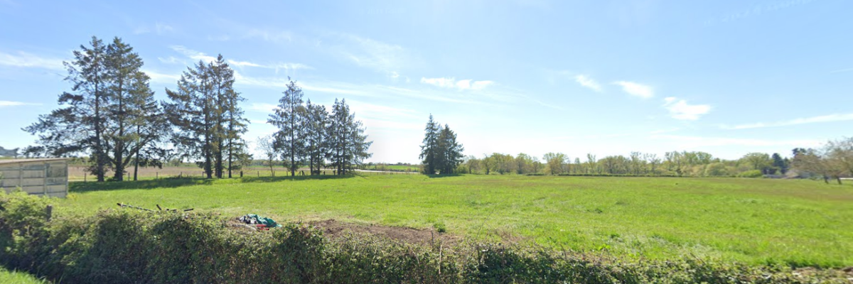 Champ vert avec arbres et ciel bleu, bâtiment au loin.