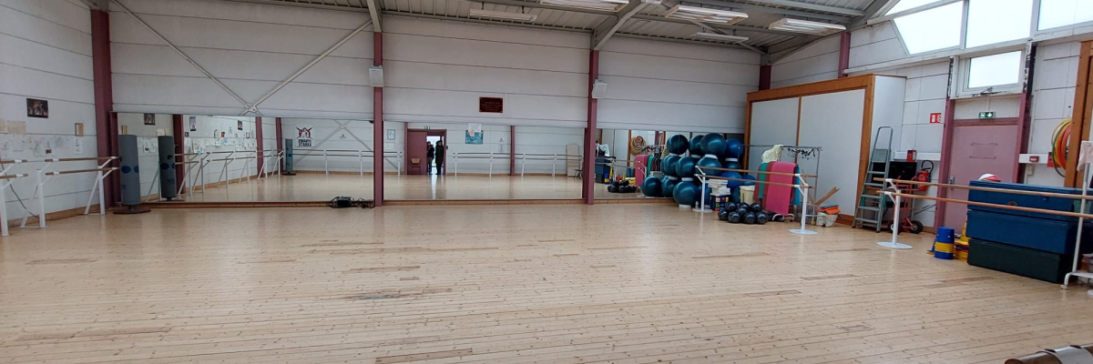 Salle de danse avec barres, miroirs, ballons, step et autres équipements de fitness.