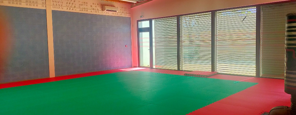 Salle avec tapis vert, murs gris, fenêtres et porte.