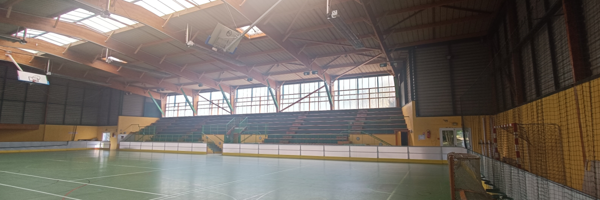 Gymnase avec paniers de basket, sol vert, gradins et toit vitré.