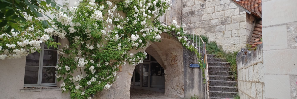 Cour avec arche en pierre, escalier, plante grimpante et fleurs blanches.