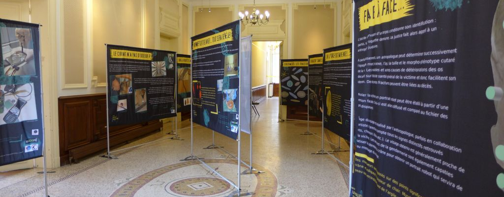 Salle d'exposition avec panneaux, supports, et lustres. Sol carrelé.