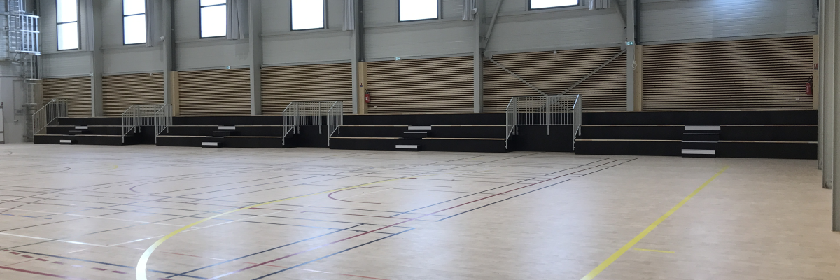 Gymnase avec gradins, parquet et lignes de terrain.