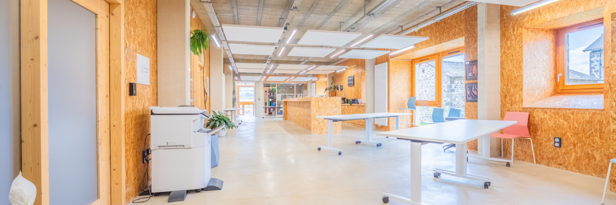 Bureau spacieux avec tables, chaises, plantes, distributeur d'eau, lumières, fenêtres et murs en bois.