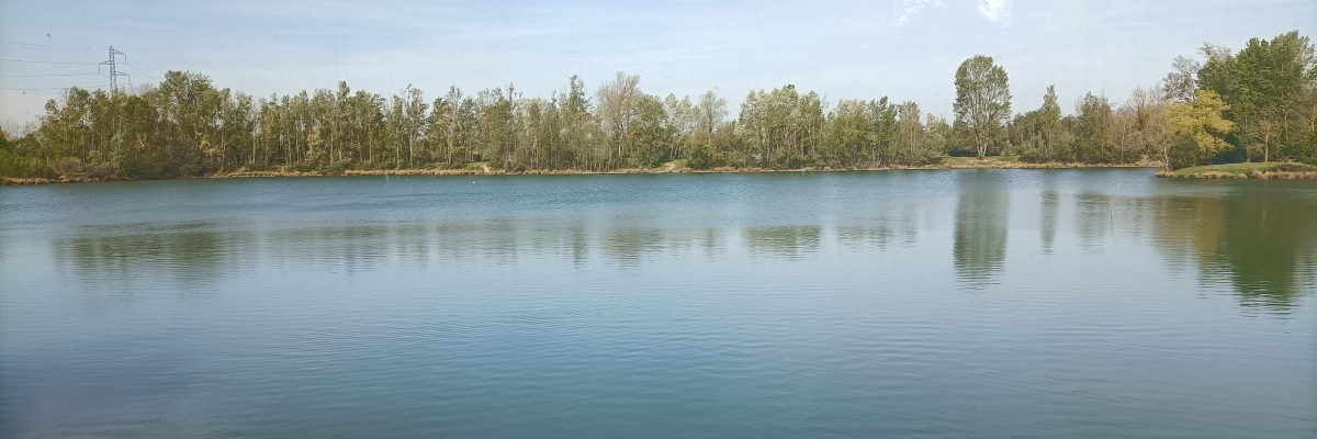 Vue d'un lac, des arbres en toile de fond, ciel dégagé, prise de vue depuis l'intérieur d'un véhicule.