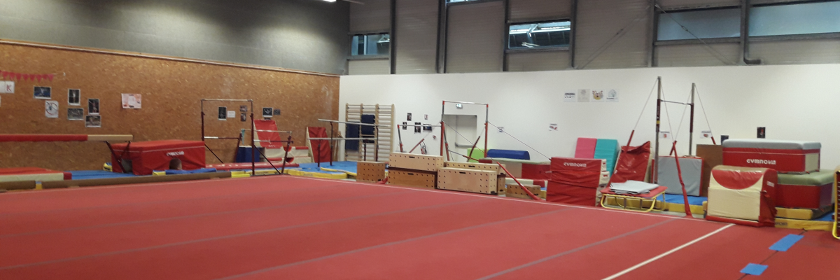 Salle de gymnastique avec tapis, barres, cheval d'arçons, et agrès divers.