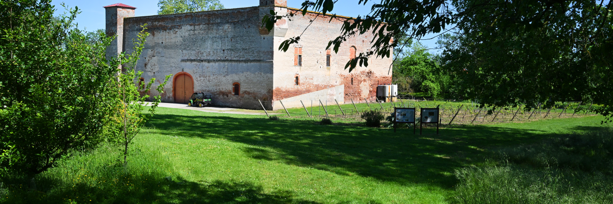 Ancien bâtiment en pierre avec porte en bois, cheminée, et panneaux d'information dans un jardin vert.