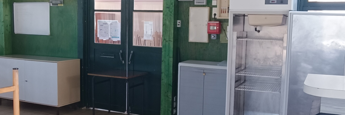 Cuisine avec frigos, comptoir, tableau blanc, porte, chaise.