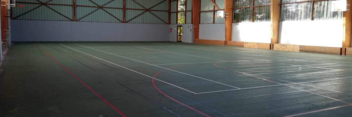 Salle de sport avec terrain de basket, panier, grandes fenêtres et structure métallique.
