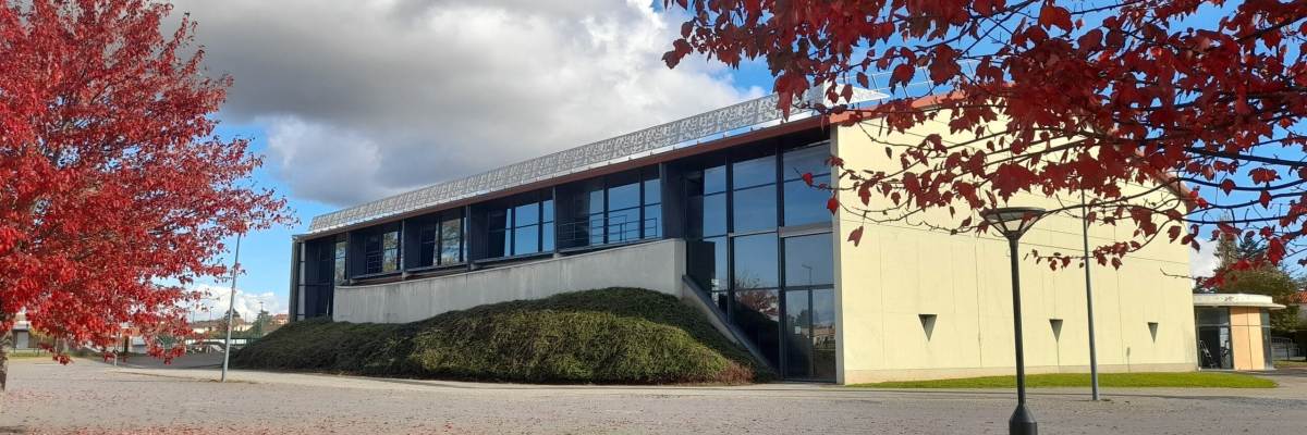Bâtiment moderne avec grandes vitres, pelouse et arbres aux feuilles rouges.