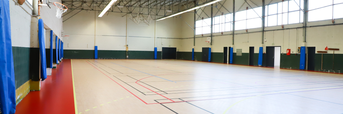Salle de sport avec paniers de basket, sol, murs et filets.