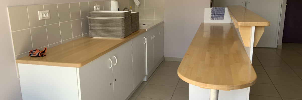 Cuisine avec plans de travail, évier, armoires, poubelle et porte-papier toilette.