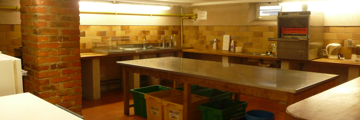 Cuisine avec plans de travail, éviers, frigo, machine à café, poubelles vertes et bleue.
