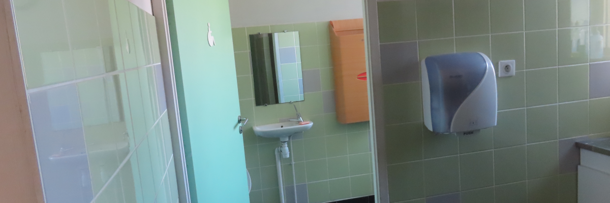 Toilettes avec lavabo, distributeur de savon, poubelle, porte verte et douche.