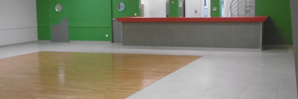 Salle avec parquet, sol carrelé, mur vert, comptoir gris avec dessus rouge, portes et lampes.