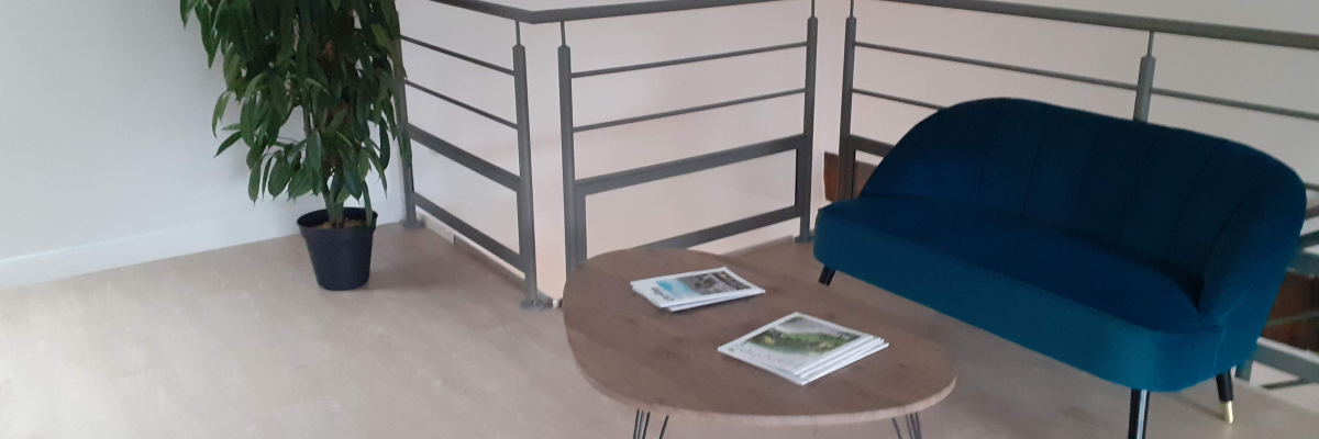 "Salle avec canapé, table basse, magazines et plante."