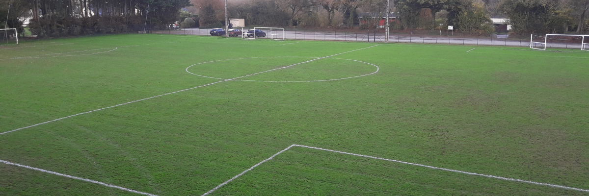 Terrain de football avec buts, lignes marquées et arbres en arrière-plan.