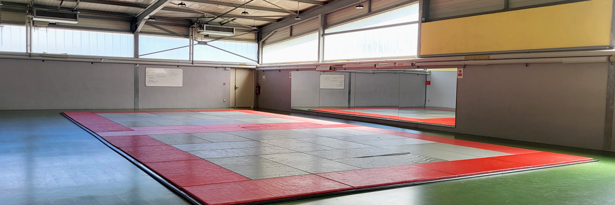 Salle avec tapis de sol rouge et vert, murs gris et jaune, plafond métallique.