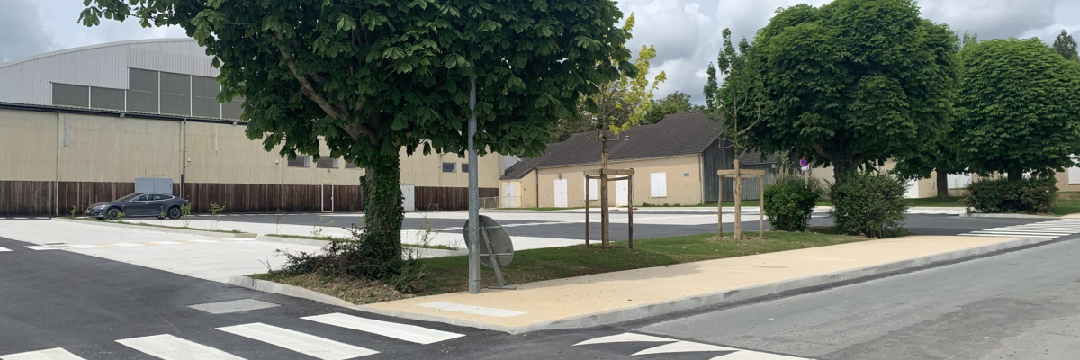 Intersection avec passage piéton, arbre, abribus et bâtiment.