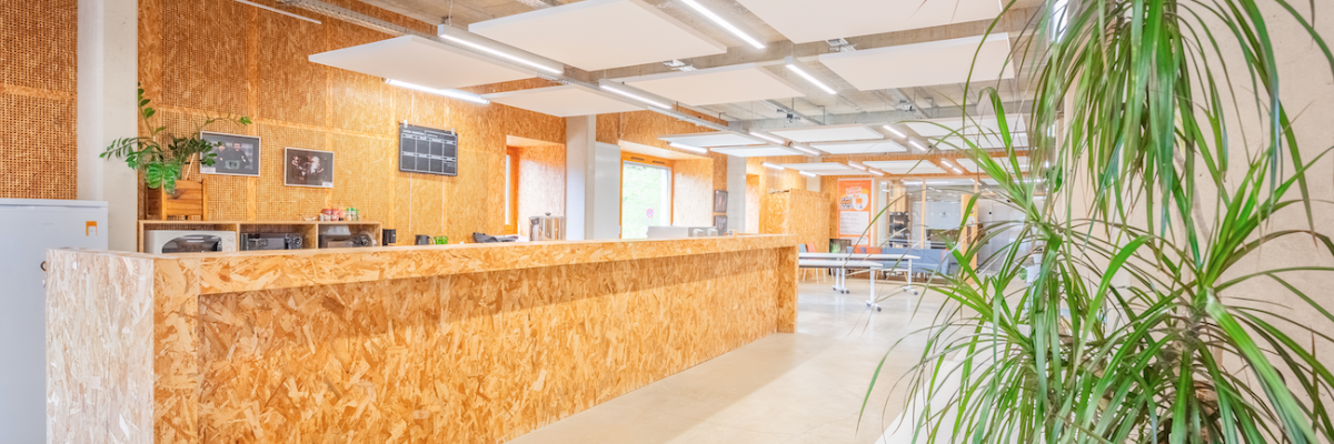 Bureau spacieux avec comptoir en bois, plantes, tables, chaises et éclairage suspendu.