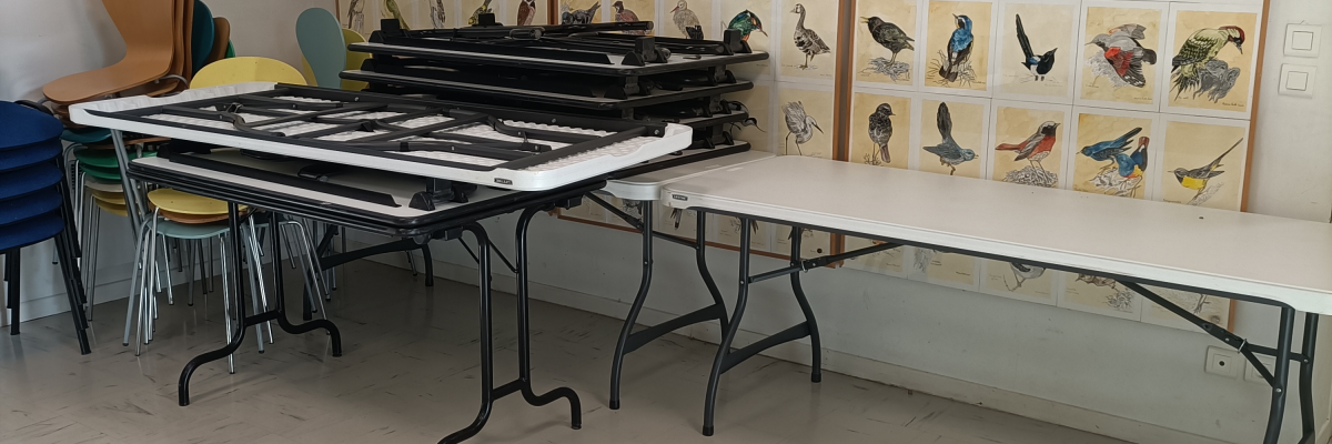 Salle avec tables, chaises, et affiches d'oiseaux sur les murs.