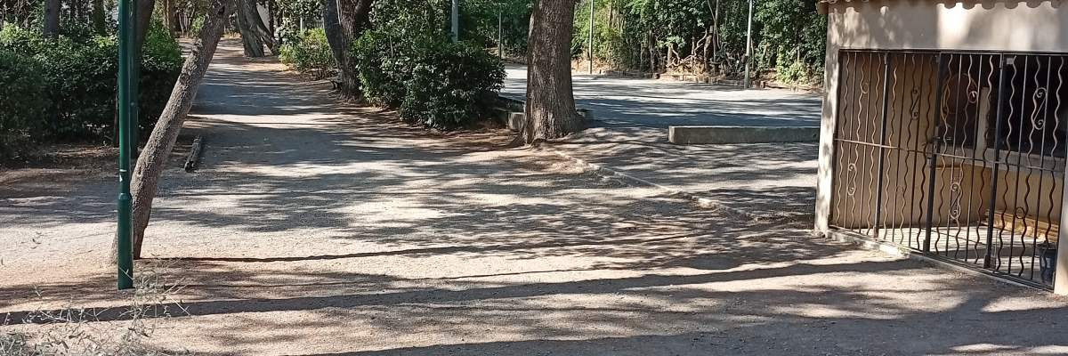 Allée avec lampadaire, arbres et abri en bois.