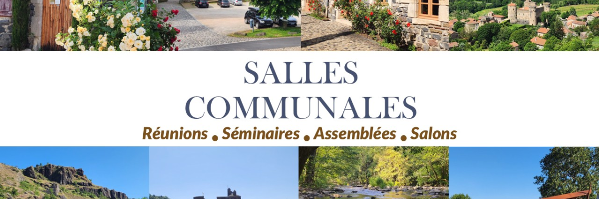 Affiches représentant des salles communales pour réunions, séminaires, assemblées et salons. Les images montrent un bâtiment de pierre, un château, un plan d'eau et un panneau de signalisation indiquant Saint Vidal.