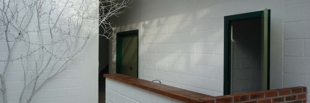 Couloir avec mur en brique, rampe en bois, portes et arbre sans feuilles derrière une vitre.