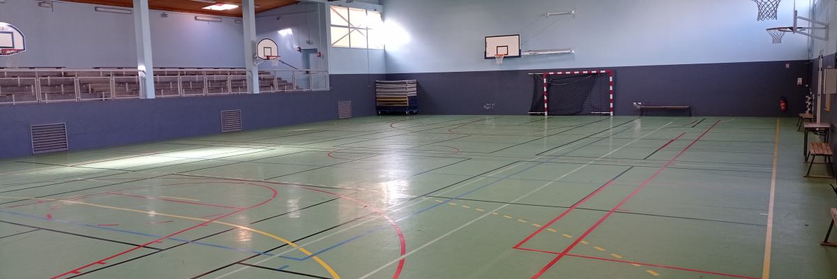 Salle de sport avec paniers de basket, filet de handball et gradins.