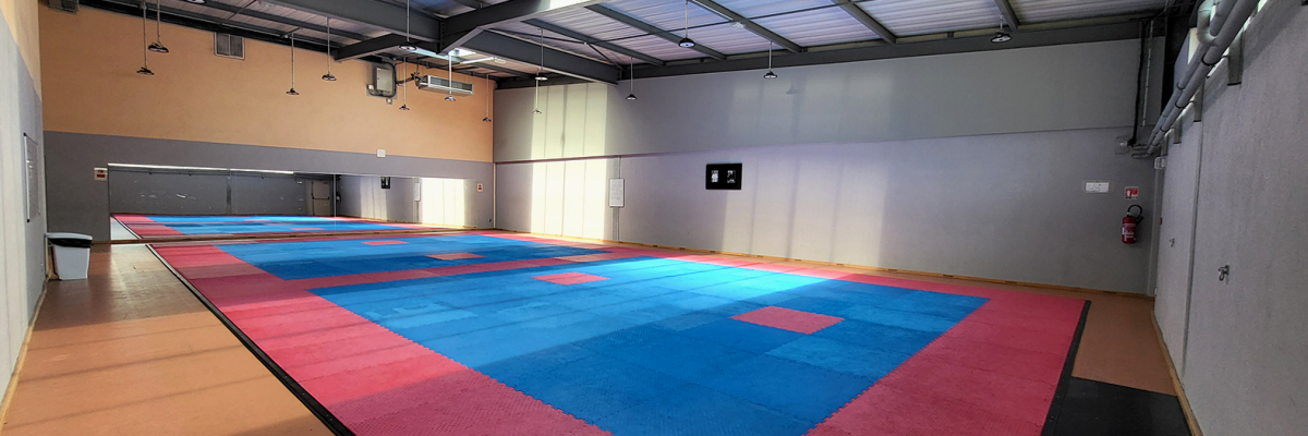 Salle de sport avec sol en parquet et tatamis.