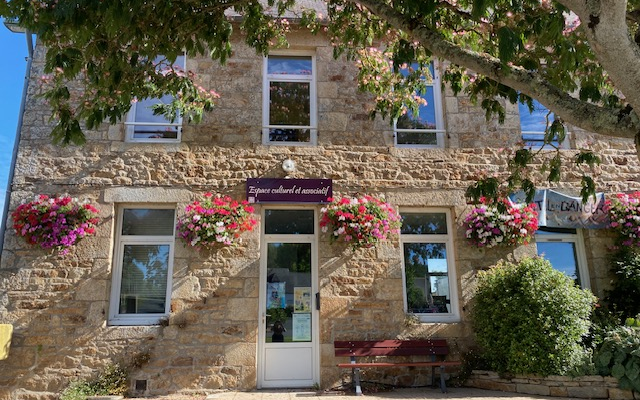 Maison en pierre avec porte d'entrée, fenêtres, fleurs suspendues, banc et arbre.